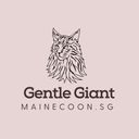 mainecoon